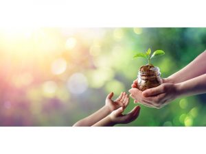 notaire role reglement succession